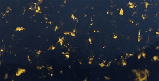 TQXA-0074