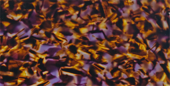 TQXA-0061